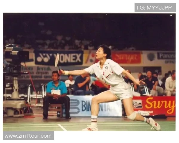 羽毛球逆袭之路：南京羽毛球队的奋斗与荣耀全纪录