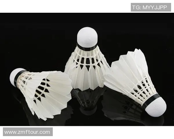 羽毛球装备选购指南及必备训练器材推荐助你提升技术水平 羽毛球装备选购指南及必备训练器材推荐助你提升技术水平