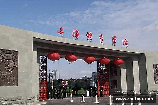 关于芒果体育